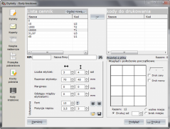 rafsoftnet Faktura VAT 2011 PRO