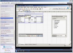 ptah media Excel 2003 - Poziom zaawansowany