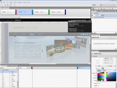 Wydawnictwo Strefa Kursów Kurs Adobe Flash Catalyst CS5