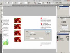 Wydawnictwo Strefa Kursów Kurs Adobe InDesign CS5