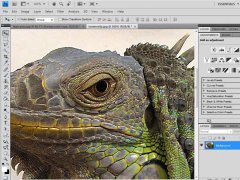 Wydawnictwo Strefa Kursów Kurs Adobe Photoshop zaawansowany