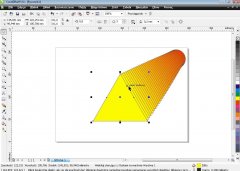 Wydawnictwo Strefa Kursów Kurs CorelDRAW x4
