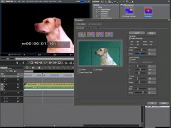 Wydawnictwo Strefa Kursów Kurs Edius 6