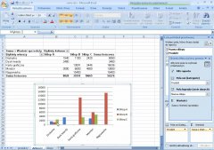 Wydawnictwo Strefa Kursów Kurs Excel 2007 zaawansowany