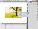 Wydawnictwo Strefa Kursów Kurs Adobe Flash Pro CS5